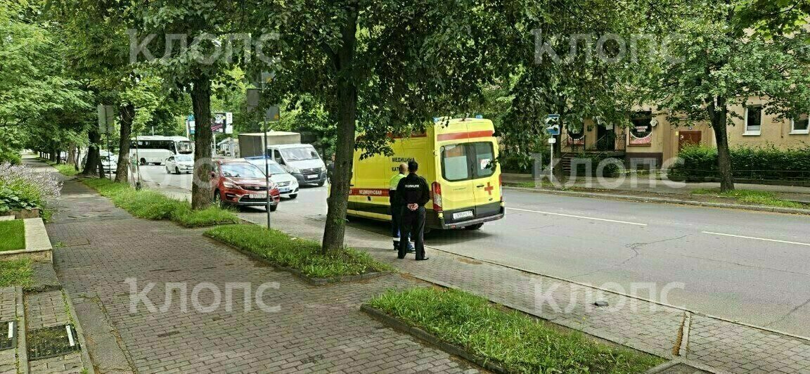 «Упал прямо в руки мужчины»: в Калининграде прохожий спас ребёнка, который висел на третьем этаже, держась за подоконник   - Новости Калининграда | Фото: очевидцы