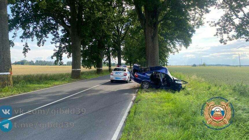 Не справился с управлением и влетел в дерево: в Гусевском районе произошло ДТП - Новости Калининграда