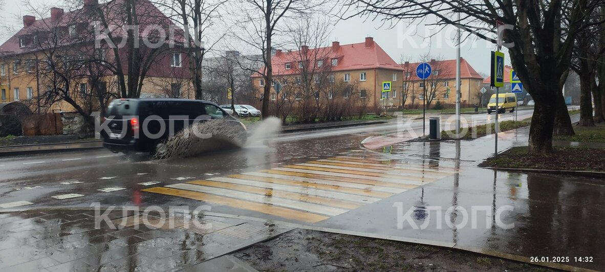 Волна в человеческий рост: калининградцы с Судостроительной улицы полгода уживаются с огромной лужей (фото)  - Новости Калининграда | Фото: очевидец 