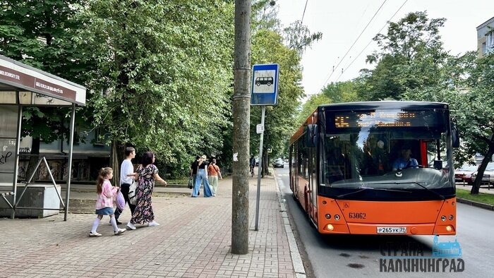Транспорт в Калининграде подорожает, теперь - для всех | Фото: Оксана Сазонова