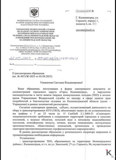 «Центр города, элитный дом и такая проблема!»: крысы продолжают пугать жителей улицы Горького в Калининграде (видео) - Новости Калининграда | Фото: жильцы ул. Горького,96