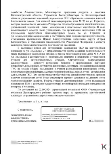 «Центр города, элитный дом и такая проблема!»: крысы продолжают пугать жителей улицы Горького в Калининграде (видео) - Новости Калининграда | Фото: жильцы ул. Горького,96
