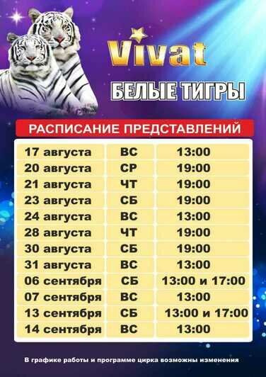 В Калининграде запускают новую цирковую программу: зрителей ждут белые тигры, сибирские медведи и «панды»-чау-чау - Новости Калининграда
