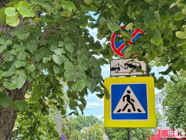 В Пионерском изменили схему движения: хаос на дорогах и возмущение жителей (фоторепортаж) - Новости Калининграда | Фото: Александр Подгорчук / «Клопс»
