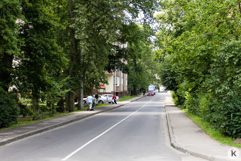 В Пионерском изменили схему движения: хаос на дорогах и возмущение жителей (фоторепортаж) - Новости Калининграда | Фото: Александр Подгорчук / «Клопс»