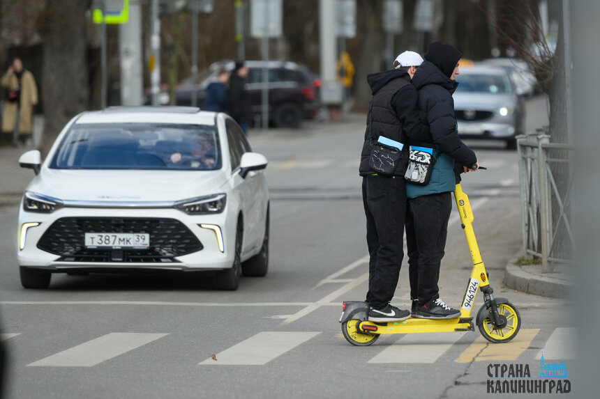 Фото сделано в Калининграде. По правилам, проезжая &quot;зебру&quot;, с самоката необходимо спешиться | Фото: Александр Мелехов