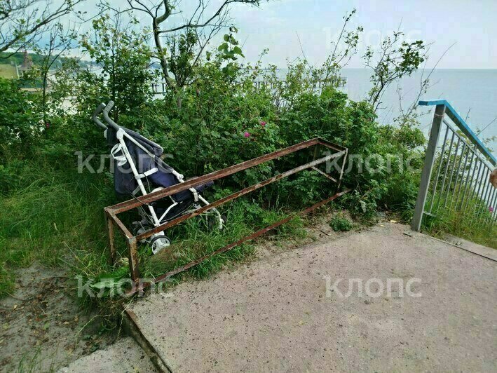 «Уже появилась кровь на досках»: в Заостровье вандалы разломали ведущую к морю лестницу (фото)  - Новости Калининграда | Фото: предоставила очевидица 