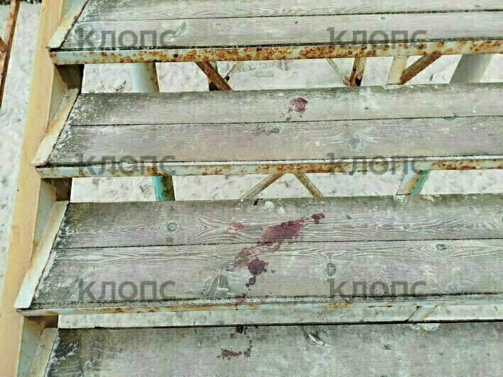 «Уже появилась кровь на досках»: в Заостровье вандалы разломали ведущую к морю лестницу (фото)  - Новости Калининграда | Фото: предоставила очевидица 