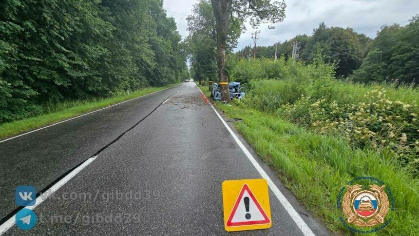 В Зеленоградском районе водитель не справился с управлением и врезался в придорожное дерево - Новости Калининграда | Фото: ГАИ