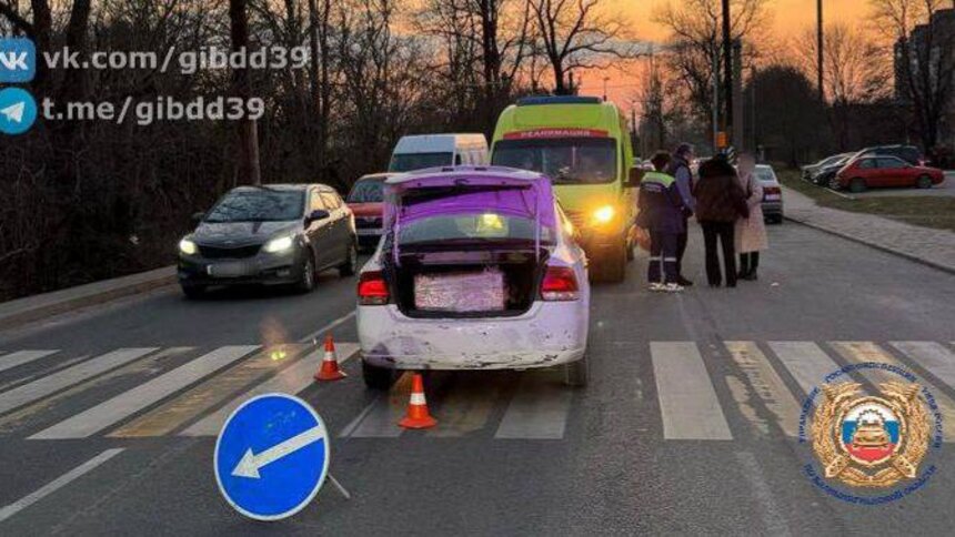 На Емельянова легковушка сбила мужчину на пешеходном переходе, против водителя возбудили дело - Новости Калининграда | Фото: ГАИ Калининградской области 