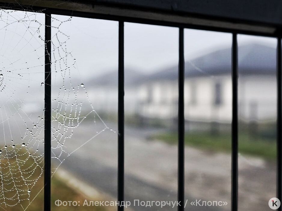 Фото дня: туманное утро в пригороде Калининграда