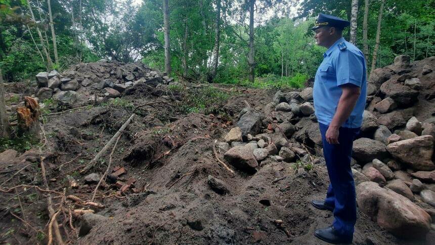Прокуратура проверит, законно ли вырубают деревья в Багратионовском районе - Новости Калининграда | Фото: пресс-служба прокуратуры Калининградской области