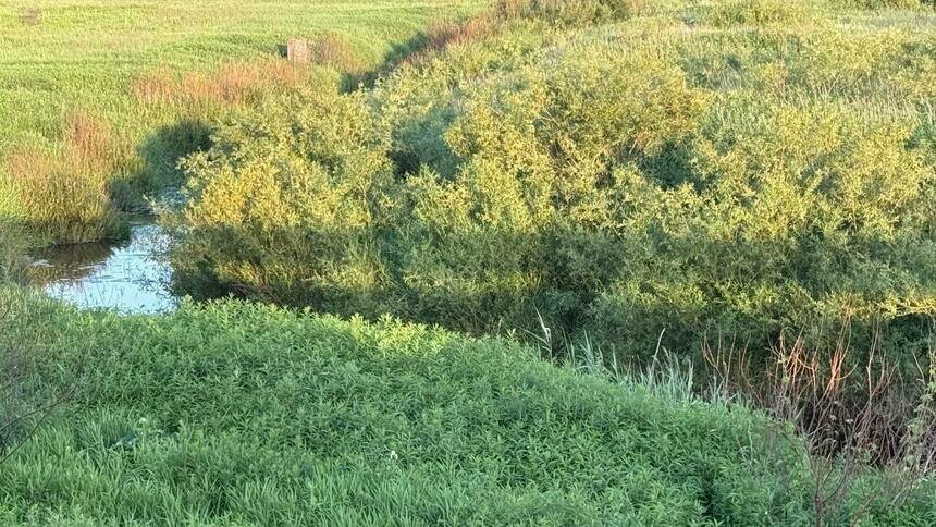 В Неманском районе принадлежащие государству земли незаконно передали в частную собственность — прокуратура - Новости Калининграда | Фото: пресс-служба прокуратуры Калининградской области
