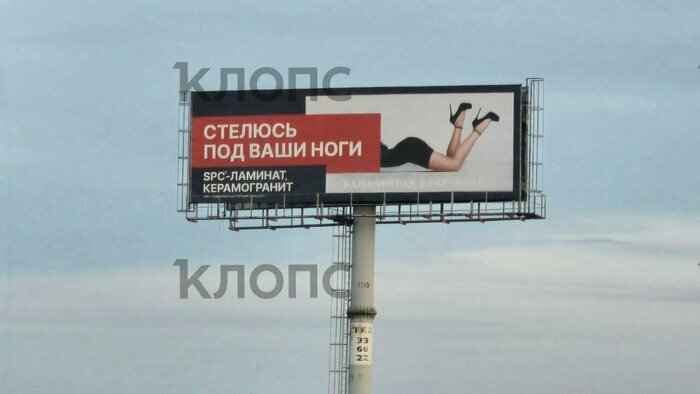 Что случилось в Калининградской области: главное на 22 июля - Новости Калининграда | Фото: «Клопс»