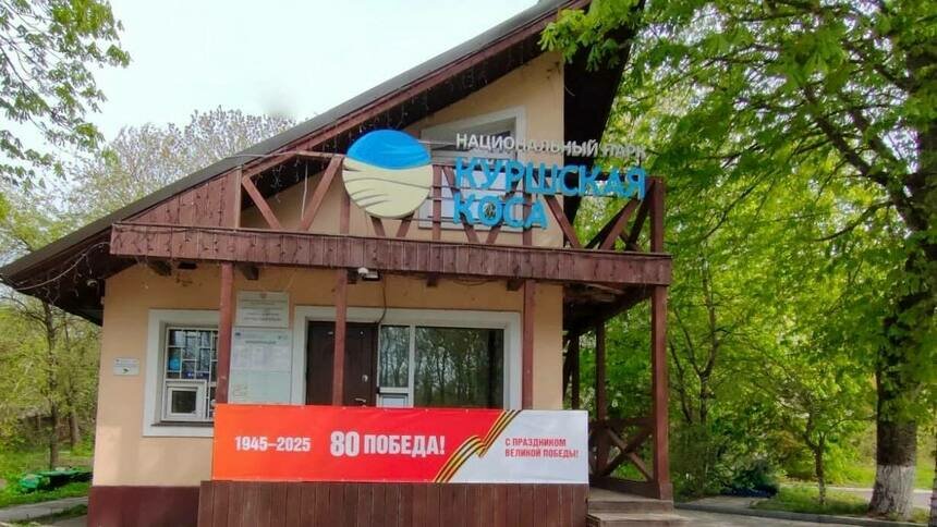 На Куршской косе временно не работает онлайн-оплата посещения нацпарка - Новости Калининграда | Фото: пресс-служба нацпарка