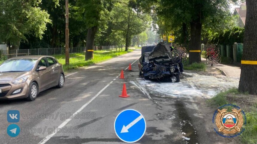 Водитель легковушки, попавшей в ДТП на Емельянова, врезался в столб и дерево — ГАИ  - Новости Калининграда | Фото: ГАИ Калининградской области 