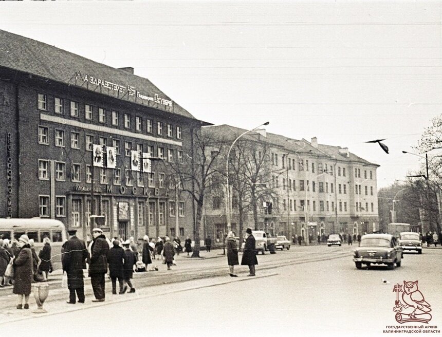 В госархиве показали, как выглядел проспект Мира в Калининграде в 1962 году - Новости Калининграда | Фото: Калининградский госархив