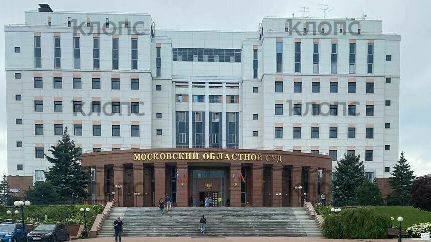 «Младенца убили потому, что его было некуда девать»: как в московском суде прошли прения по делу калининградских врачей   - Новости Калининграда | Фото: Софья Курбатова