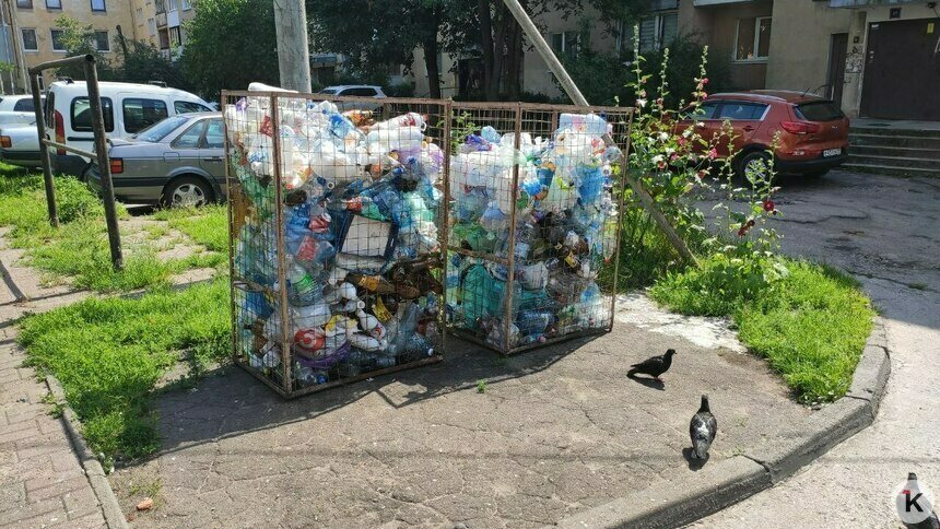 Как жить без жёлтых сеток: 5 вопросов о том, что теперь будет со сбором пластиковых бутылок в Калининграде   - Новости Калининграда | Фото: «Клопс»