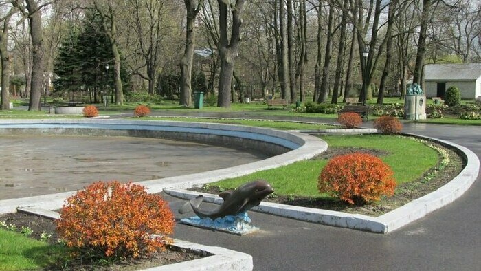 Кости кашалота и берлинский дельфин: в Калининградском зоопарке рассказали таинственную историю из 60-х - Новости Калининграда | Фото: пресс-служба Калининградского зоопарка