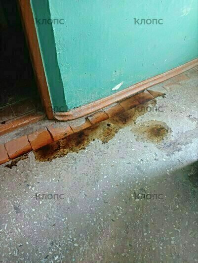 «Туристам хорошо, а нас заливает»: в Калининграде после капремонта в 14-этажке на Острове прохудилась крыша (видео)   - Новости Калининграда | Фото: очевидцы
