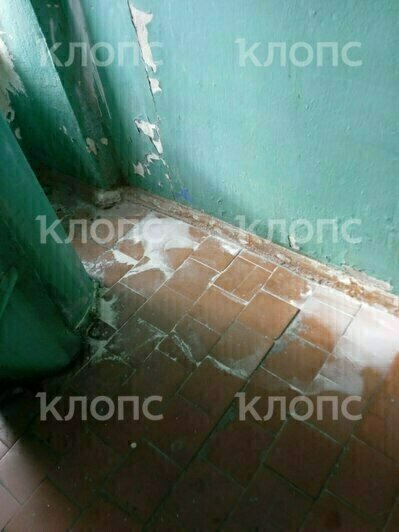 «Туристам хорошо, а нас заливает»: в Калининграде после капремонта в 14-этажке на Острове прохудилась крыша (видео)   - Новости Калининграда | Фото: очевидцы