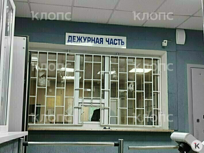 «С каждым годом люди злее»: как в Калининграде патрульные усмиряют дебоширов и разбираются с «бытовухой» (фото, видео)   - Новости Калининграда | Фото: «Клопс»