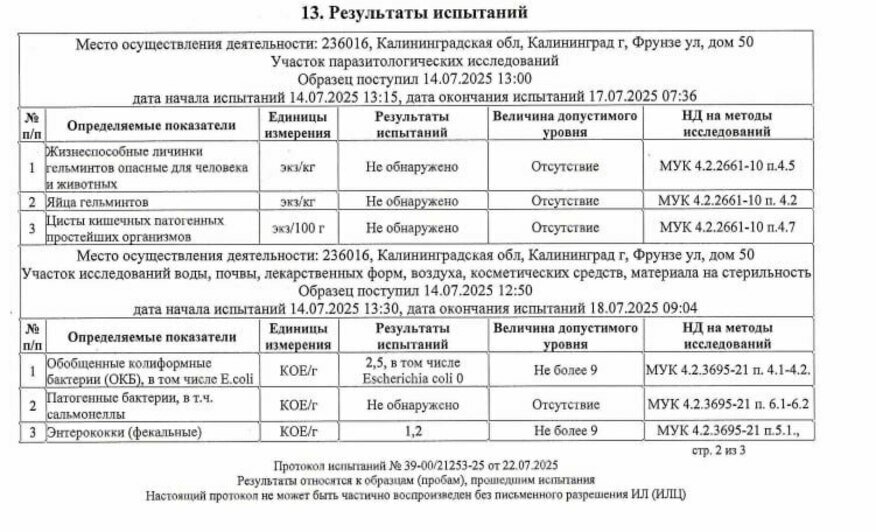 Роспотребнадзор разрешил купаться в калининградском карьере «Мечта» - Новости Калининграда | Скриншот: администрация Калининграда