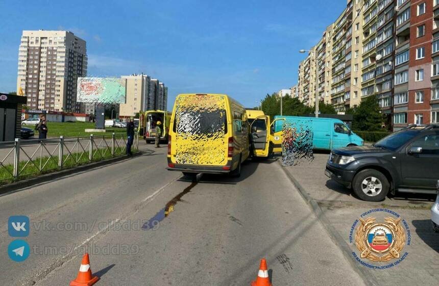В Калининграде столкнулись две маршрутки, есть пострадавшие | Фото: тг-канал областной Госавтоинспекции