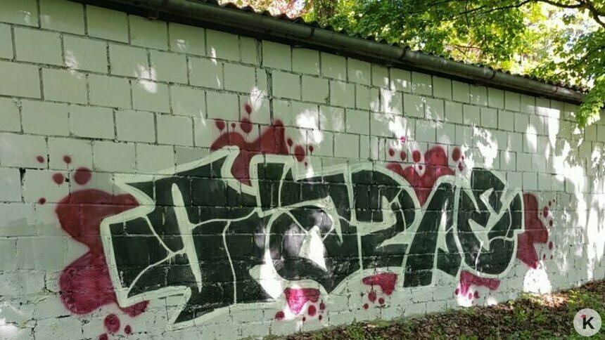 Полиция задержала вандала из Санкт-Петербурга, который незаконно нанёс больше тысячи граффити в Калининграде - Новости Калининграда | Фото: архив «Клопс»
