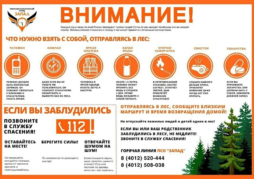 Волонтёры поделились памяткой для калининградцев, которые любят ходить в лес и не хотели бы заблудиться - Новости Калининграда | Фото: ПСО «Запад»