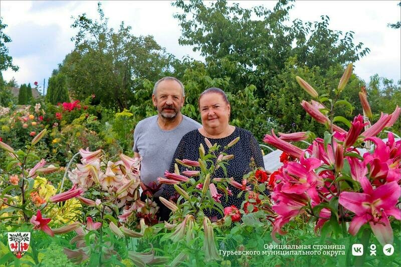 Семья из Ушаково вырастила в своём саду более трёхсот кустов роз (фото) - Новости Калининграда | Фото: администрация Гурьевска