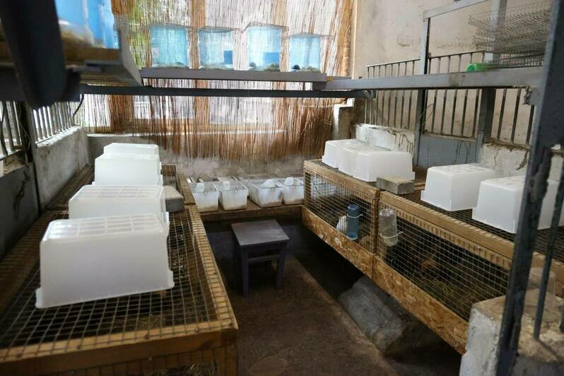 Жирафник в зоопарке, ремонт в ДК и новая парковка: Елена Дятлова проверила, как идёт ремонт социальных объектов в Калининграде   - Новости Калининграда | Фото: телеграм-канал Елены Дятловой