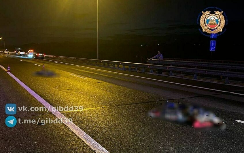 Под Калининградом насмерть сбили мужчину и женщину (фото, видео)   - Новости Калининграда | Фото: Госавтоинспекция Калининградской области