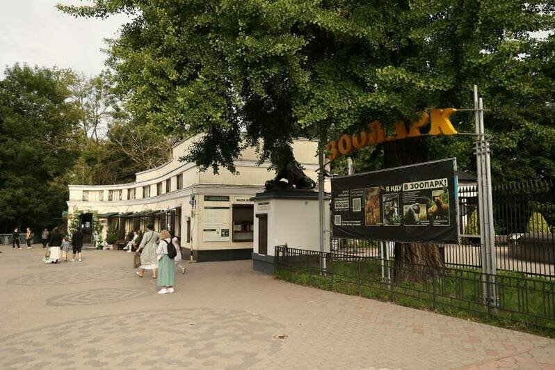 Жирафник в зоопарке, ремонт в ДК и новая парковка: Елена Дятлова проверила, как идёт ремонт социальных объектов в Калининграде   - Новости Калининграда | Фото: телеграм-канал Елены Дятловой