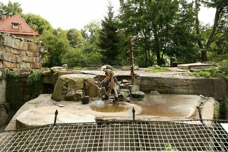 Жирафник в зоопарке, ремонт в ДК и новая парковка: Елена Дятлова проверила работы на социальных объектах в Калининграде | Фото: телеграм-канал Елены Дятловой