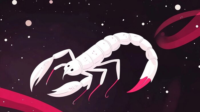 Львов ждут самые скучные будни, а Стрельцов — крайне напряжённые: гороскоп на рабочую неделю с 4 по 8 августа  - Новости Калининграда | Иллюстрация: Ксения Александрова / «Клопс»