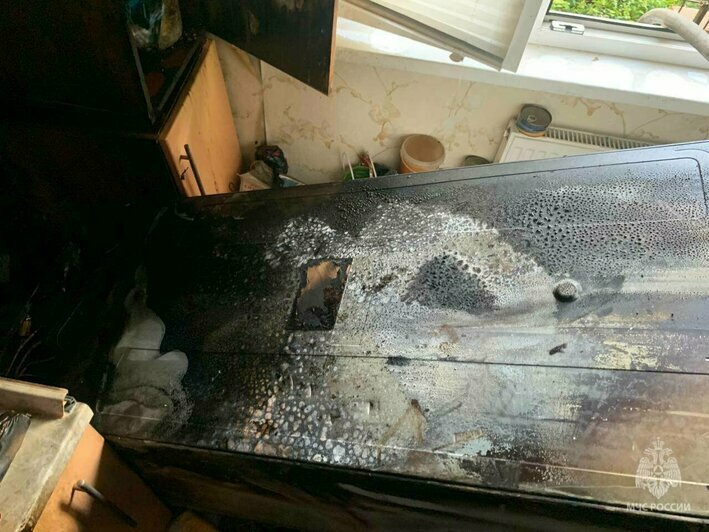 В Калининград приехала капибара, а в «тыквенной столице» нашли снаряд: 11 событий, которые обсуждали в выходные   - Новости Калининграда | Фото: МЧС региона
