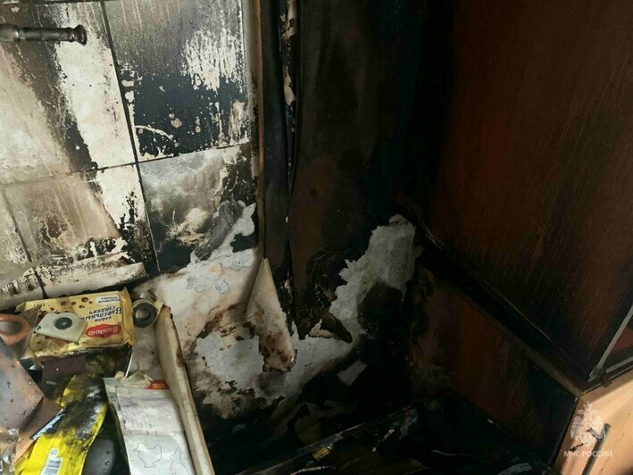 В Калининград приехала капибара, а в «тыквенной столице» нашли снаряд: 11 событий, которые обсуждали в выходные   - Новости Калининграда | Фото: МЧС региона