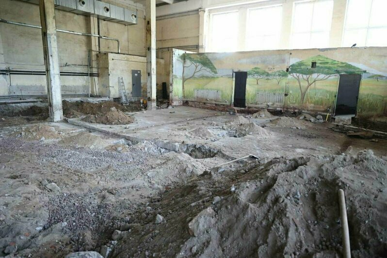 Жирафник в зоопарке, ремонт в ДК и новая парковка: Елена Дятлова проверила работы на социальных объектах в Калининграде | Фото: телеграм-канал Елены Дятловой
