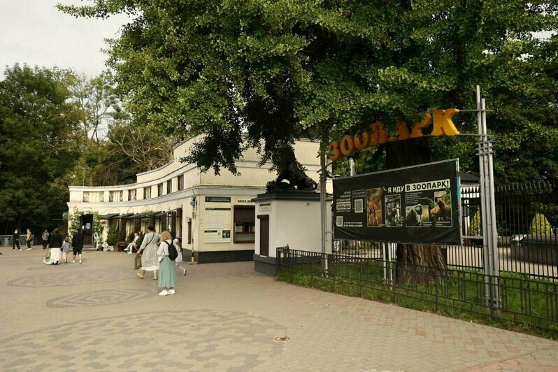 Жирафник в зоопарке, ремонт в ДК и новая парковка: Елена Дятлова проверила работы на социальных объектах в Калининграде | Фото: телеграм-канал Елены Дятловой