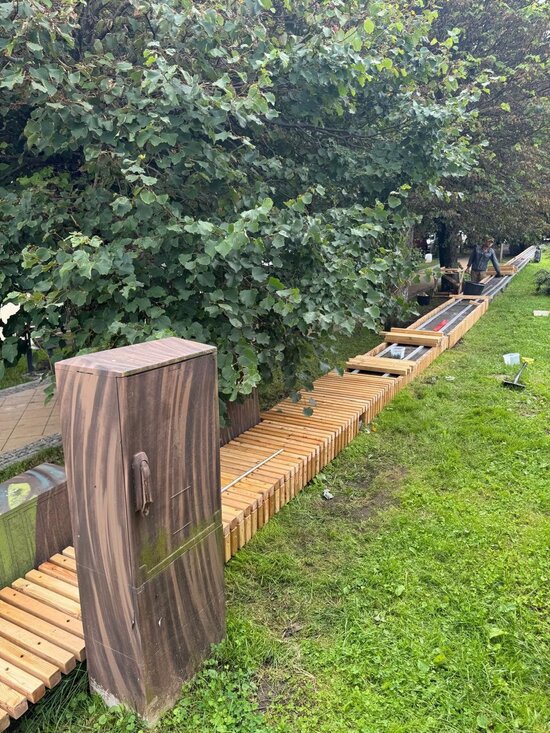 В Зеленоградске до 11 августа планируют облагородить облезлые подпорные стены у деревьев вдоль «Розы ветров» - Новости Калининграда | Фото: администрация Зеленоградского округа 