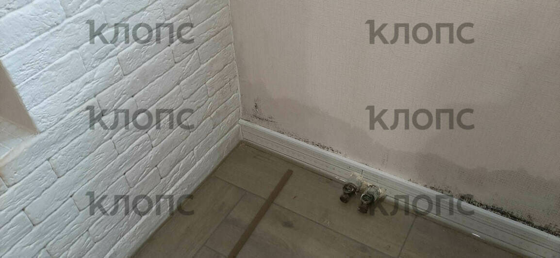 В Калининграде затопило сточными водами цоколь, который жильцы собирались сдавать посуточно (фото, видео)    - Новости Калининграда | Фото: Мария
