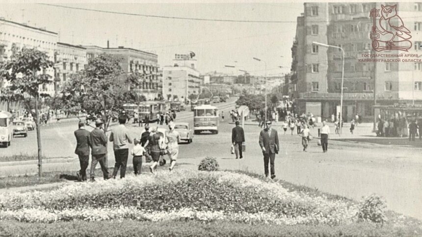 В госархиве показали, как выглядел Ленинский проспект в 1967 году - Новости Калининграда | Фото: госархив