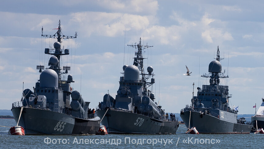 «Отражение атак беспилотников»: министр обороны РФ поставил приоритетную задачу Балтийскому флоту - Новости Калининграда | Фото: Александр Подгорчук / Архив «Клопс»