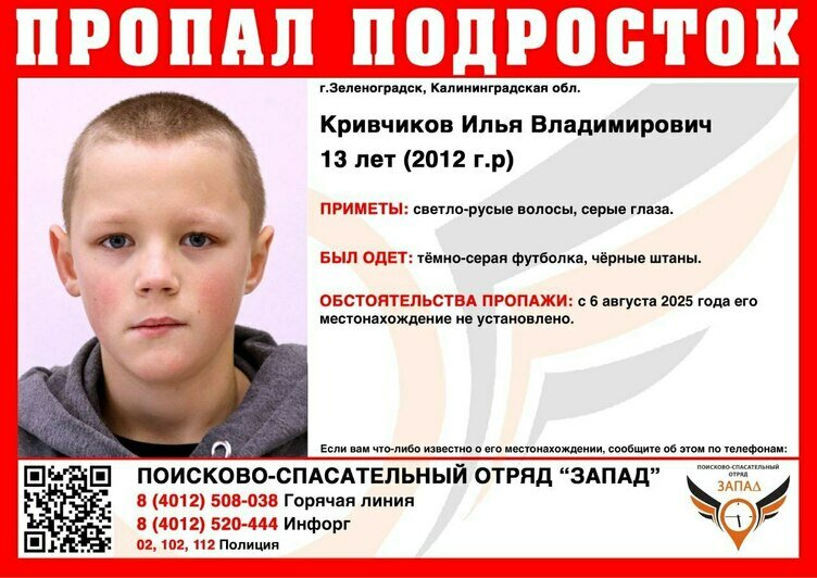 Не могут найти с 6 августа: в Зеленоградске пропали четыре подростка  - Новости Калининграда