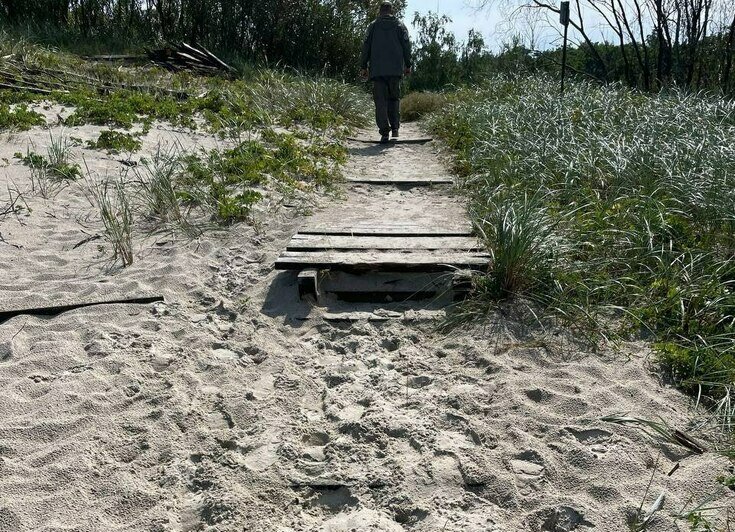 На Куршской косе идёт реконструкция перехода в посёлке Морское (фото) - Новости Калининграда | Фото: нацпарк &quot;Куршская коса&quot;