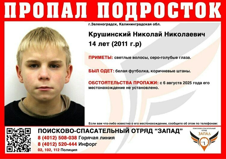 Не могут найти с 6 августа: в Зеленоградске пропали четыре подростка  - Новости Калининграда