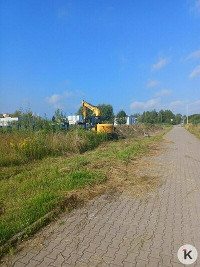 В Калининграде возле Восточной эстакады начали строить пешеходный бульвар (фото) - Новости Калининграда | Фото читателя