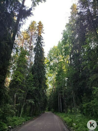 Рафтинг по реке Шуя | Фото: Алина Соболева